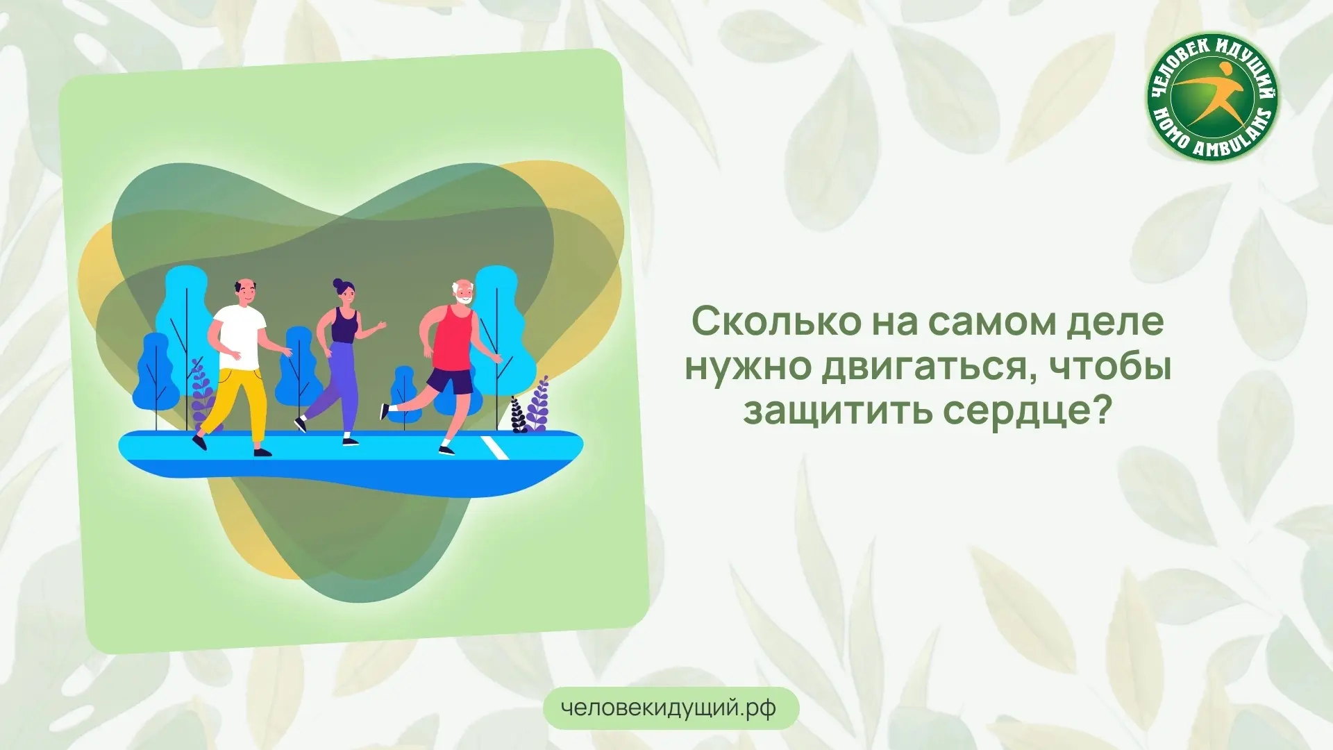 Исследование с участием 17 000 человек, носивших трекеры, подтверждает: 150 минут умеренной активнос