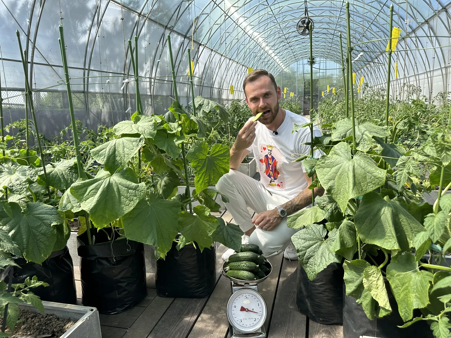 🥒 КТО В ЭТОМ СЕЗОНЕ СОБЕРЕТ САМЫЙ ВПЕЧАТЛЯЮЩИЙ УРОЖАЙ?

Если в этом году ваши огурцы радуют урожаем