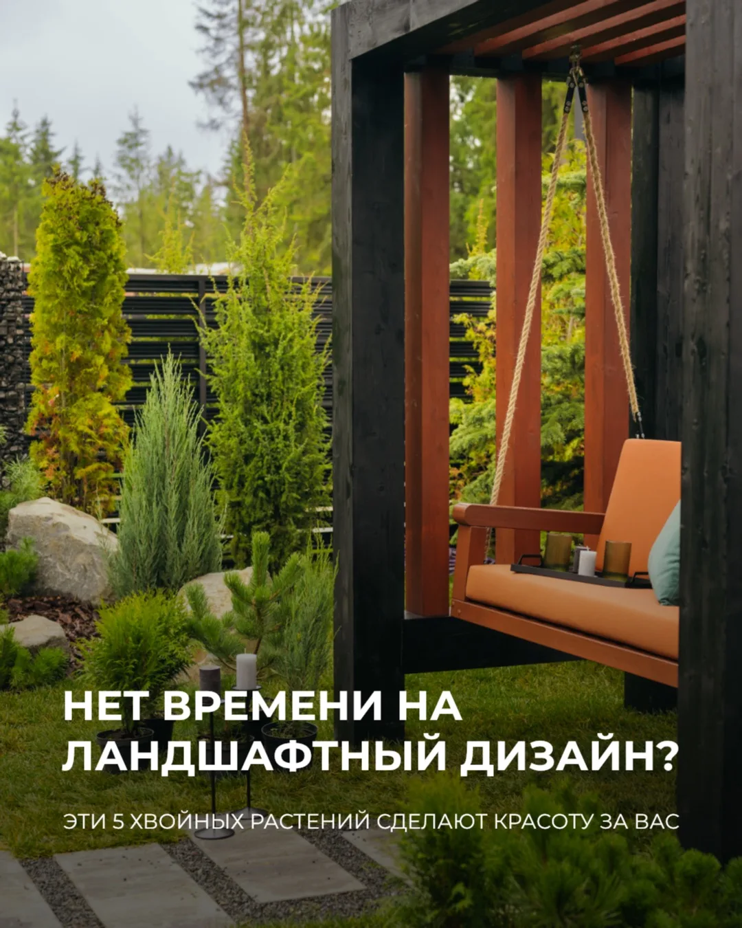 Большинство садов красивы три месяца в году. Хвойный — все двенадцать.