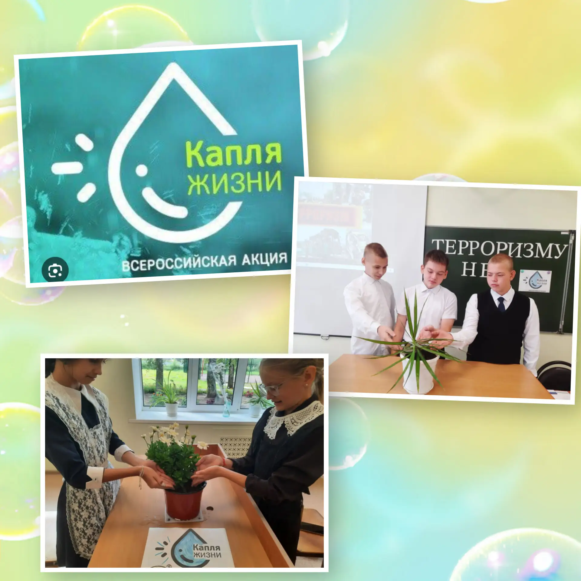 Акция "Капля жизни".