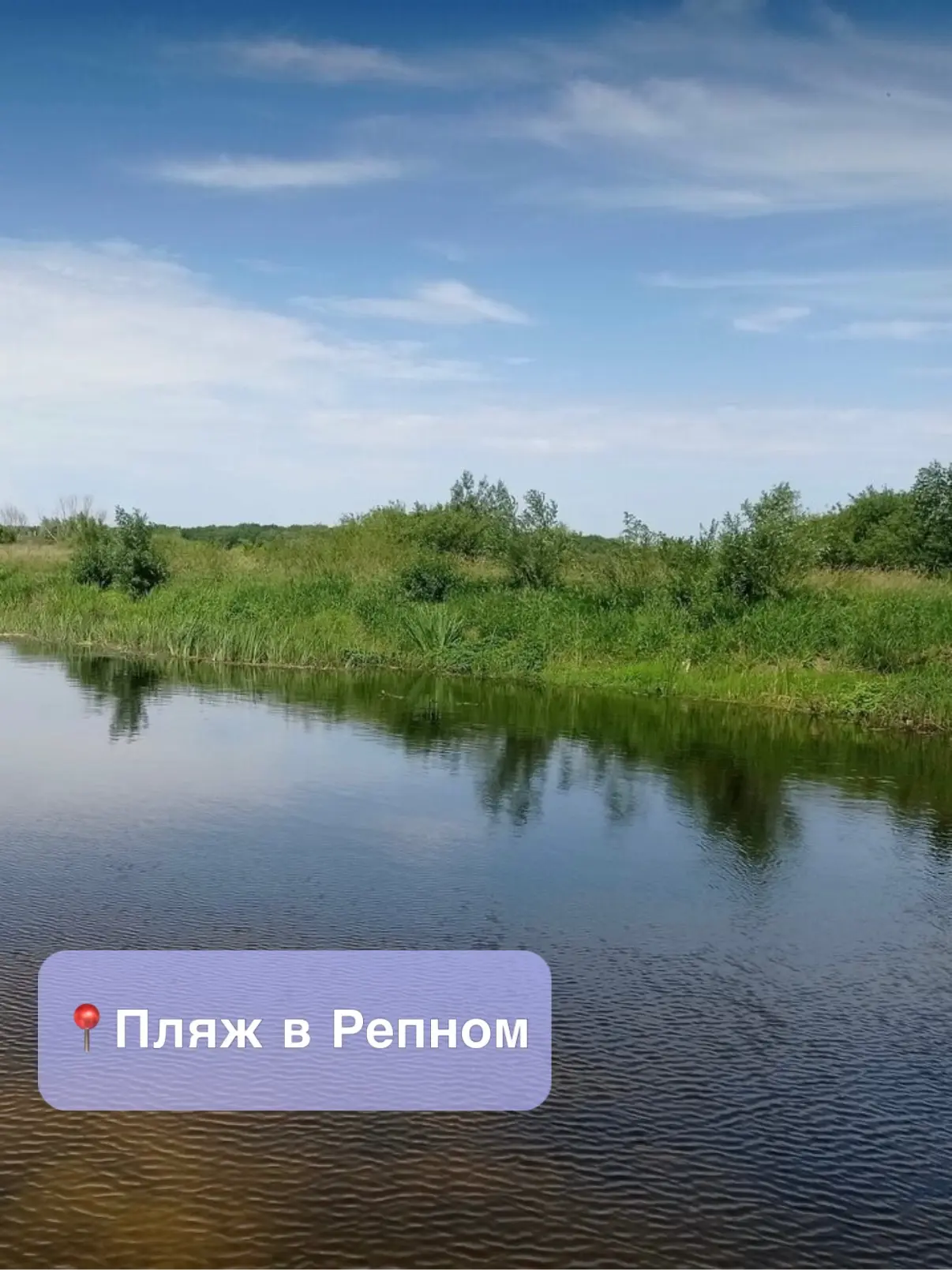 🏖️ Воронежцы, ловите топ-5 пляжей, где можно искупаться этим летом