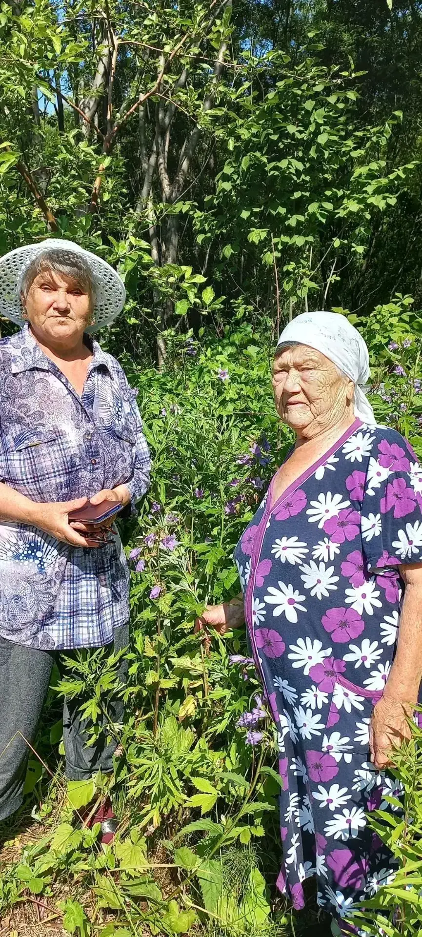 «Дыхание леса: как прогулка стала маленьким праздником»