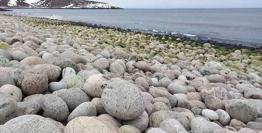 Териберка: путешествие в сердце Арктики  🌏 На весенних каникулах юнармейский отряд посетил город Мур