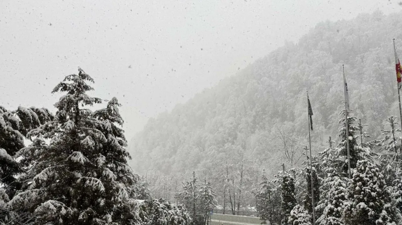 ❄️  Высокогорье Сочи засыпало снегом. На отметке 2320 метров за сутки выпало 39 см, вид...