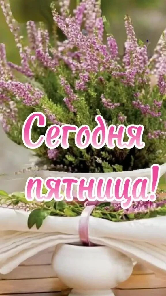 🪸Филиал службы занятости в городском округе Докучаевск с пожеланиями -  пусть пятница ...