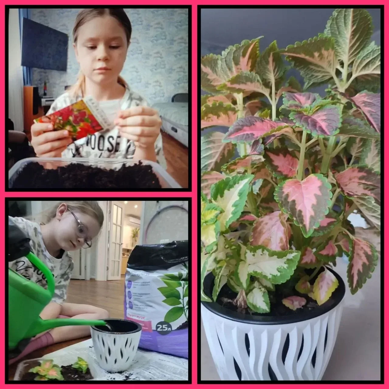 🌱 Наука начинается с семечка!

Ученики 4В класса под руководством классного руководителя Федоровой 