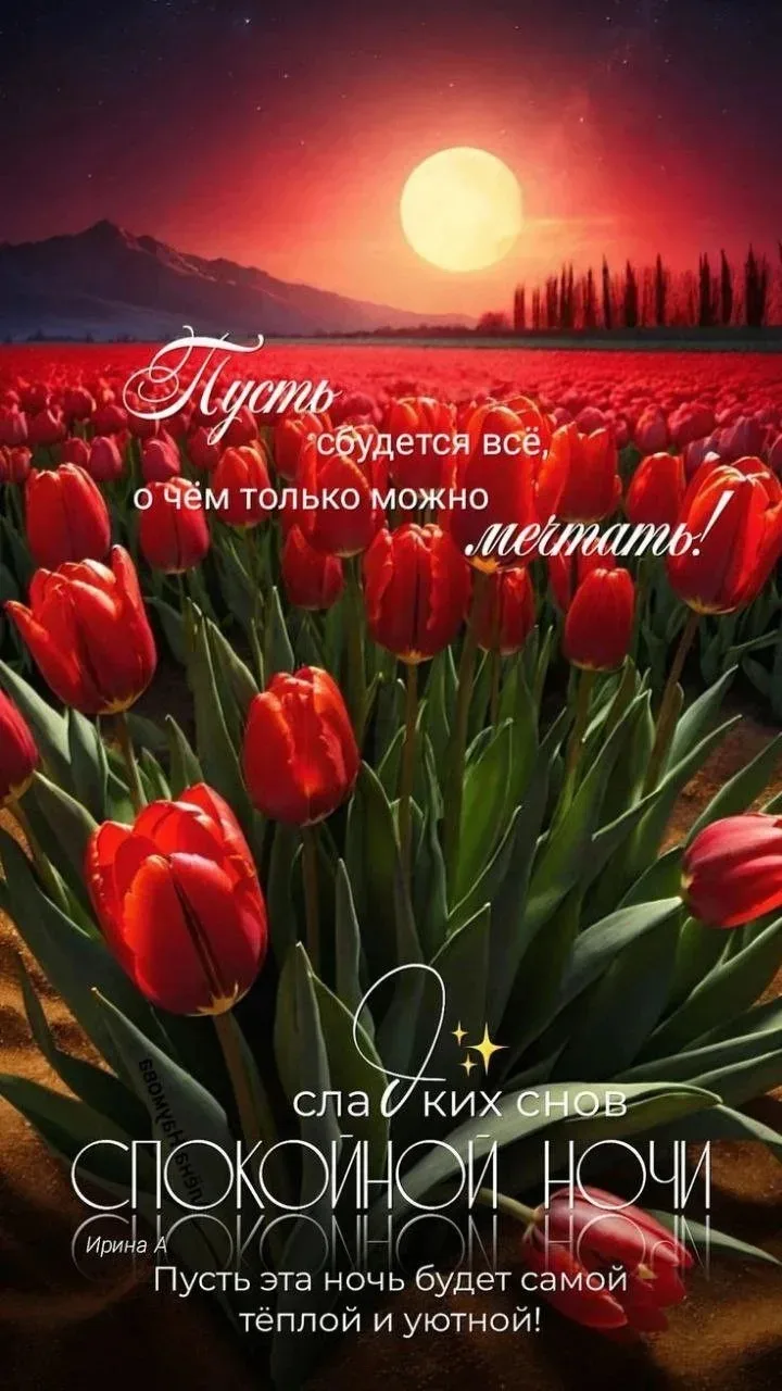 #добройночи


😍 Лучшие ОТКРЫТКИ и Классные ВИДЕО