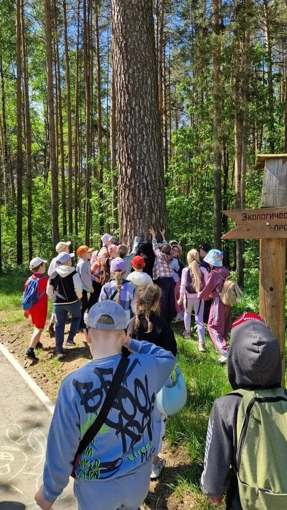 🌲 Настоящее лесное приключение для 2 «Б»!   Какой чудесный день для прогулки! Ученики 2 «Б» класса в
