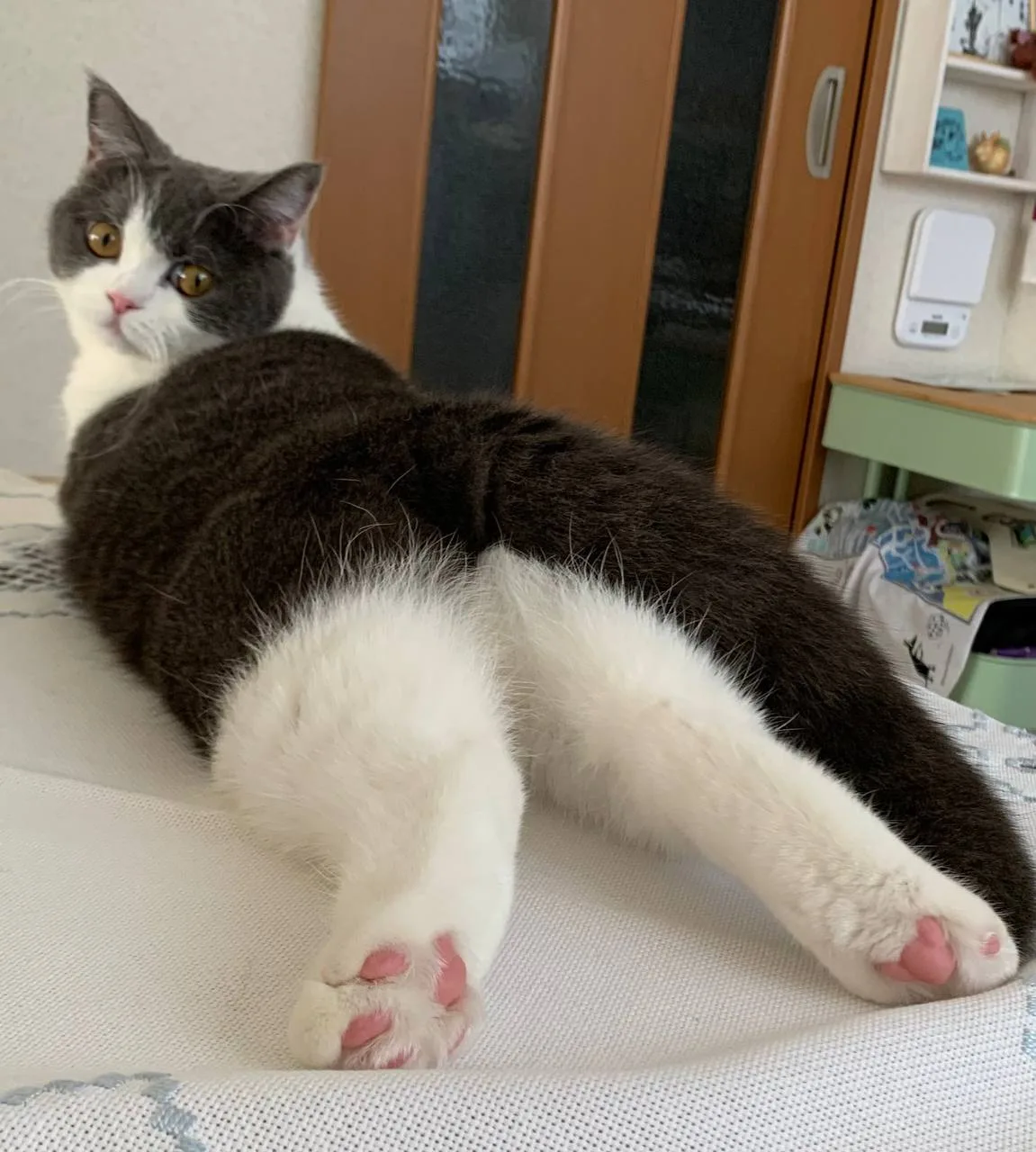 Котофакт дня 🐾

Коты спят около 16 часов в сутки  🛌
Это ⅔ их жизни! 

А сколько спит ваш? 
Ставьте