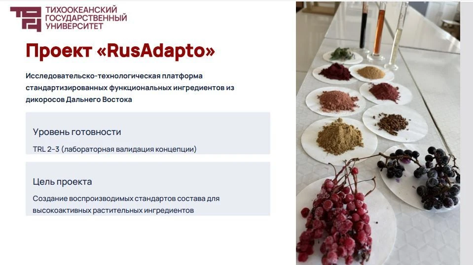 🐲 Как приручить дикоросы: ученые ТОГУ разработали технологию производства качественных...