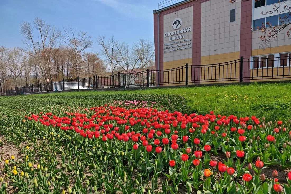 🌷 Понедельник подходит к концу, время наслаждаться красивым!   Помимо цветущей сакуры, городские ули