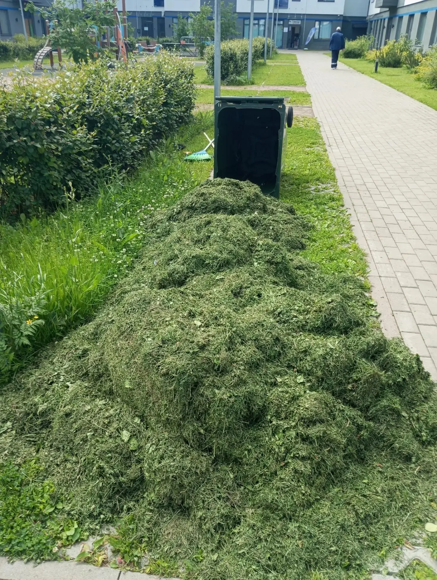 Уборка травы на ул. Кутышева после покоса райдером