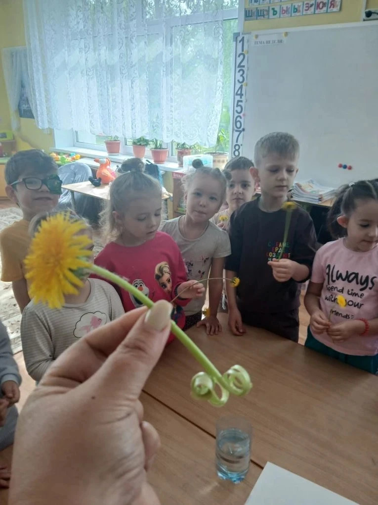 Дошкольное отделение: детский сад "Журавушка" ♥️