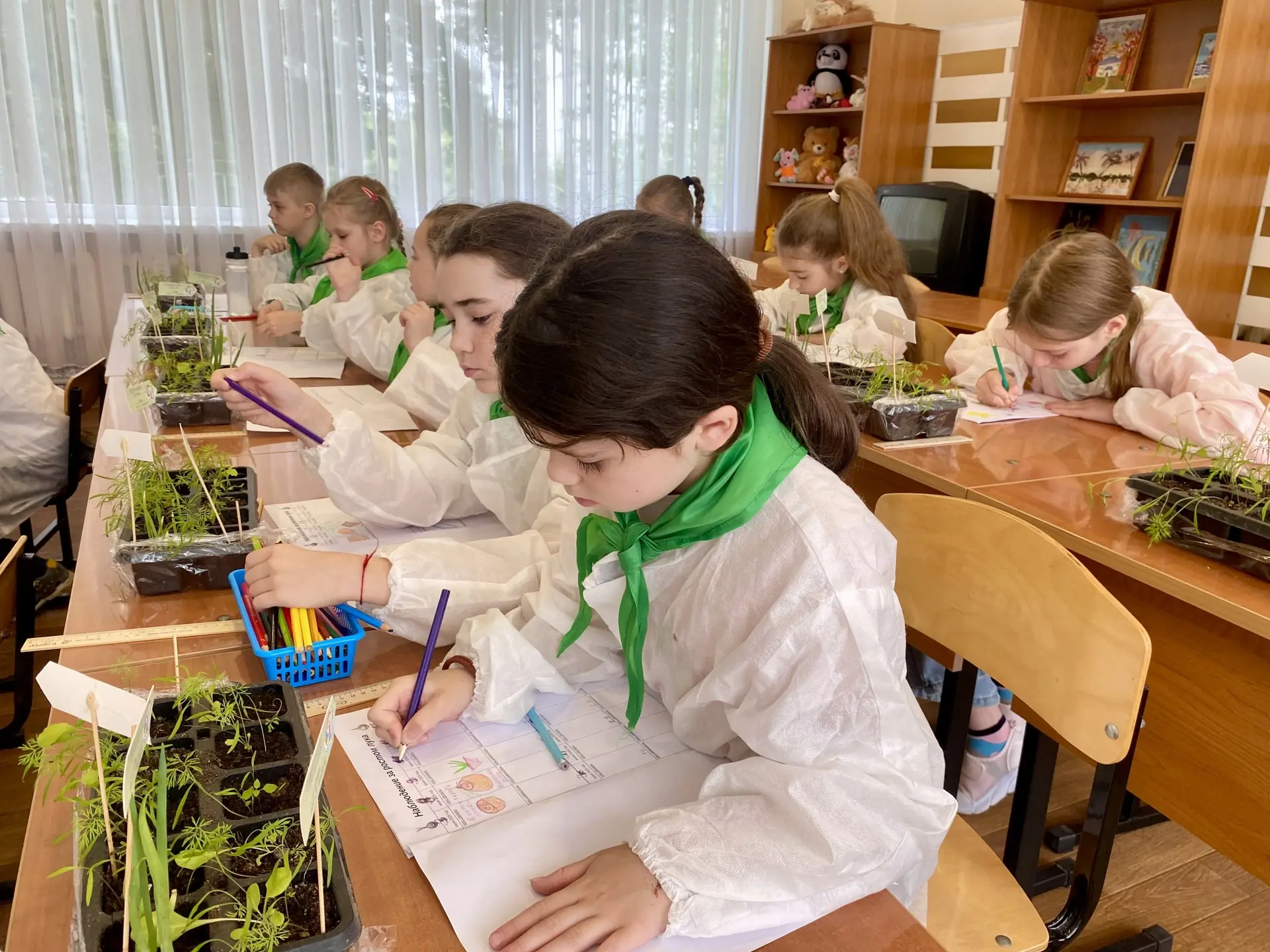 🌱 Сегодня у отряда «Зелёный патруль» — важный день наблюдений! 🌾

Ребята отправились к своим зелён