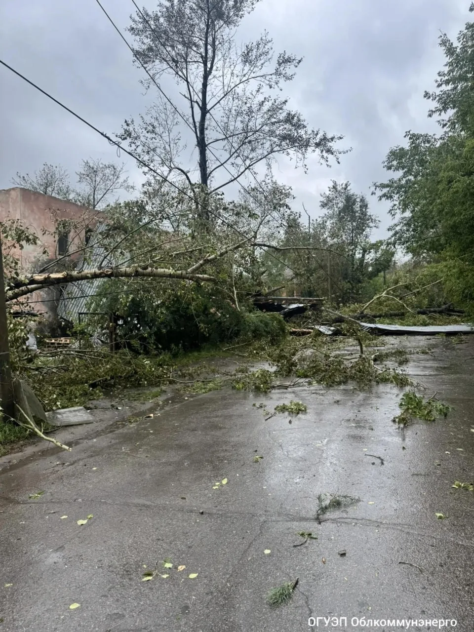 🌪️ Смерч в Усолье-Сибирском снес бетонную опору ЛЭП, свалил деревья и сорвал крыши домов