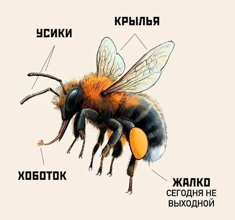#Биомем

Главные новости от Мэра Москвы, Департамента культуры и Учреждения — в МАХ.