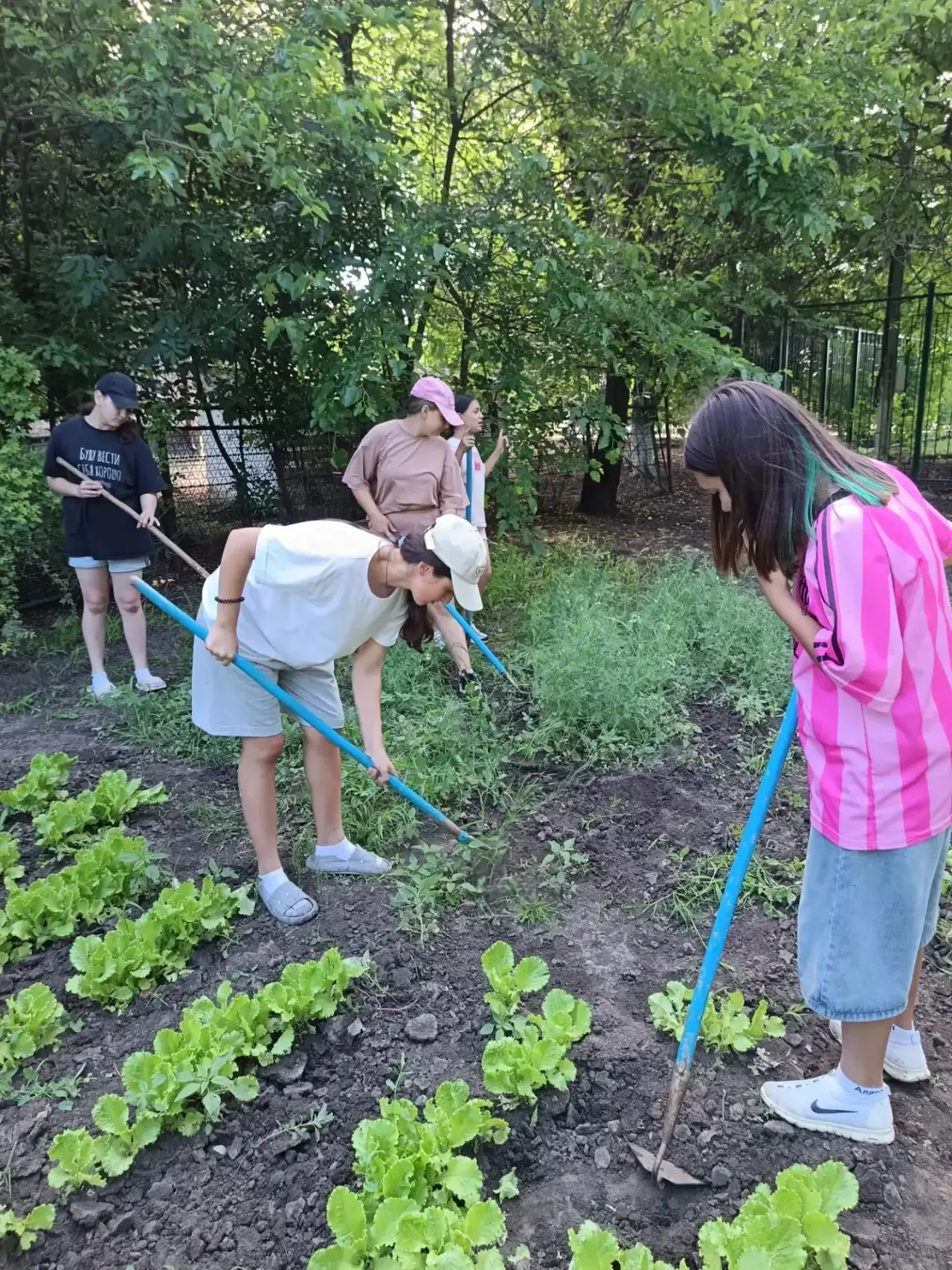 🥕🧹 Летняя практика: день спорта и садоводства!