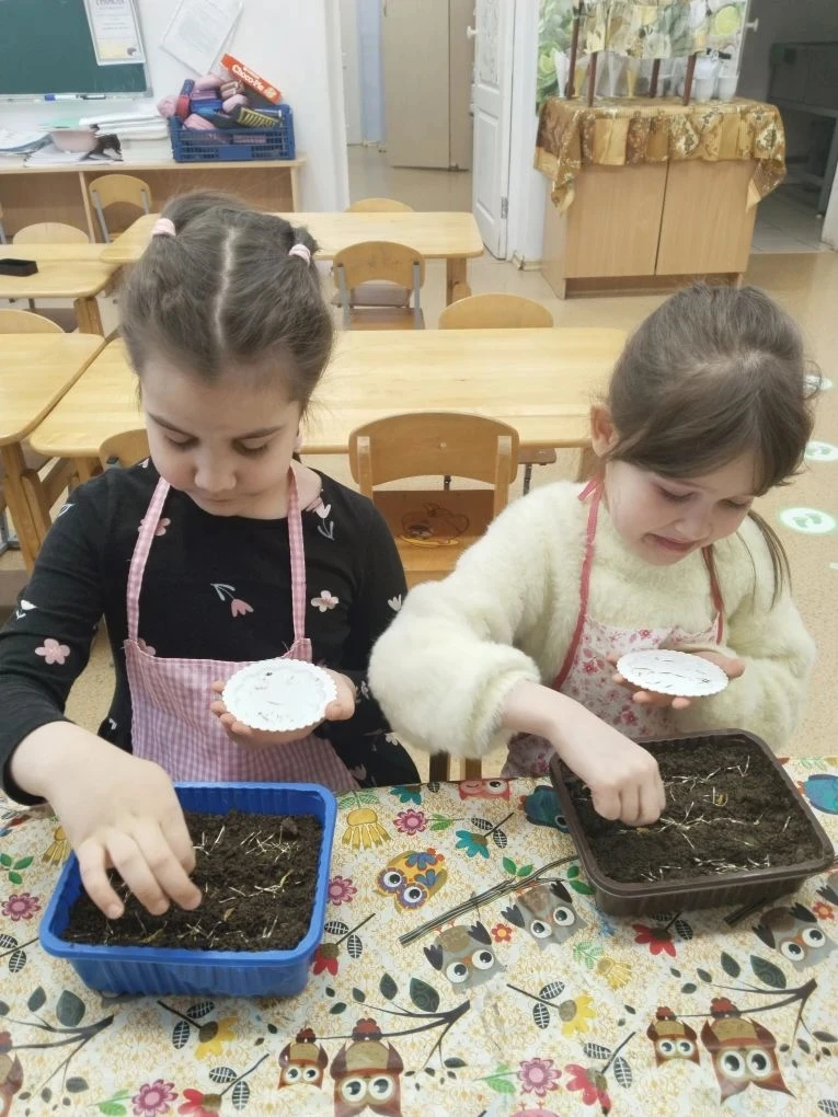 🌿 Огород на подоконнике в детском саду: первые шаги к природе