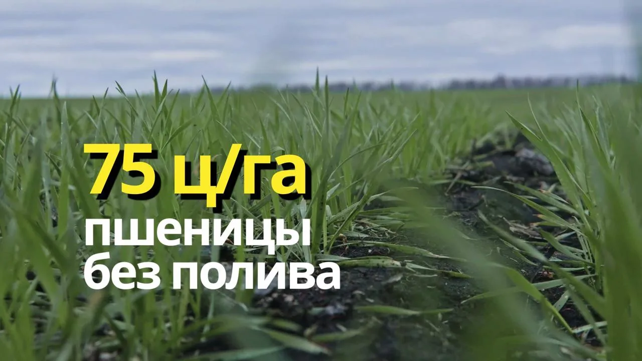 В новом видео руководитель ООО «ПроАгроТех» Владимир Быстров рассказывает, как от интуитивных решени