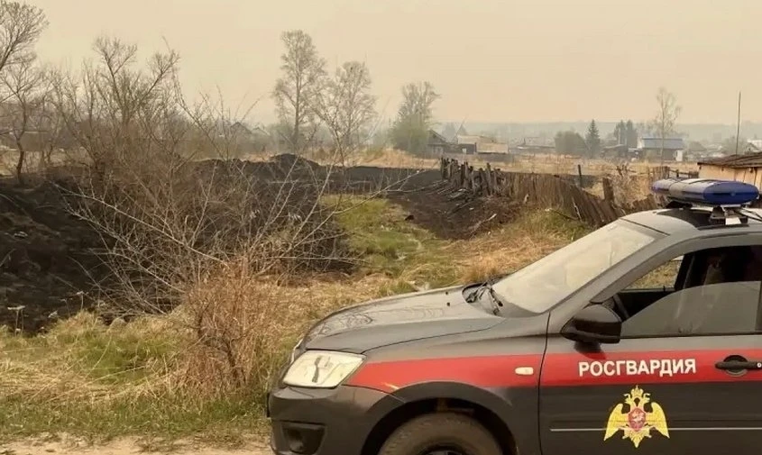 🚓 В Шимановске трое сотрудников Росгвардии бросились на борьбу с палом, который подбирался к жилым д