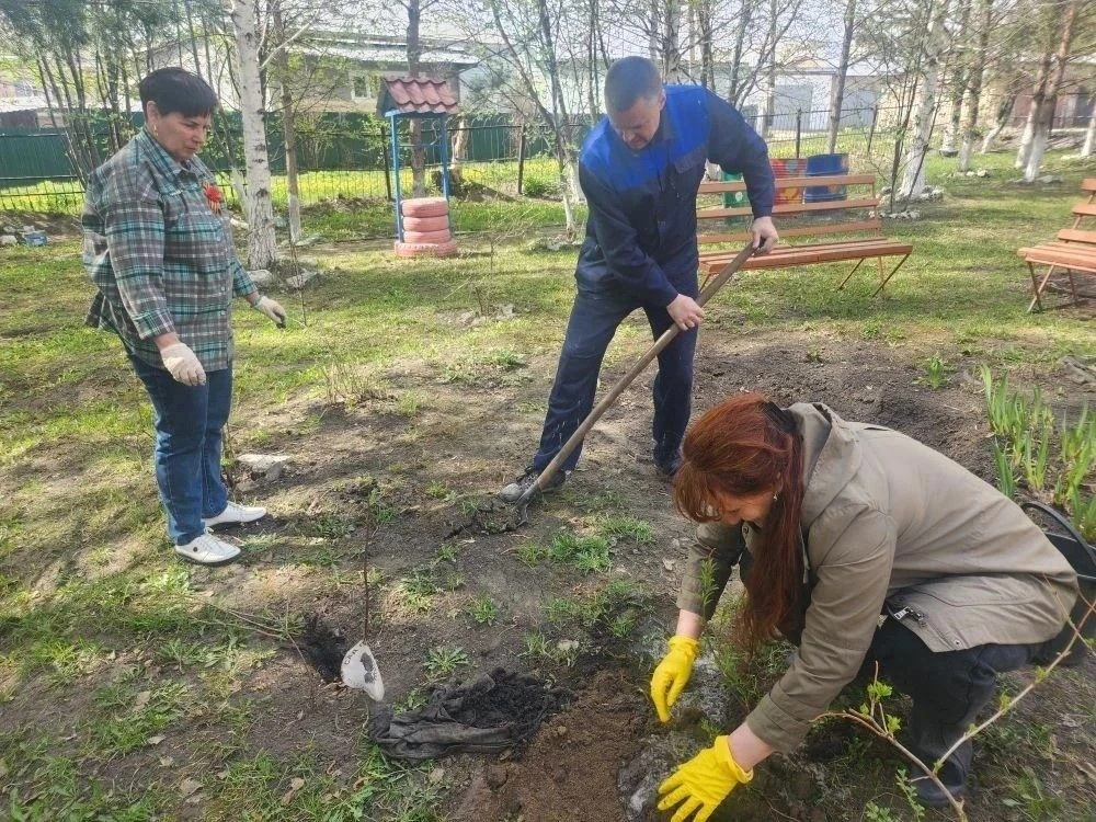 5 мая 2026 года в МБУ «ЦСО» г. Белово на ветеранском дворике с особым трепетом и уважен...