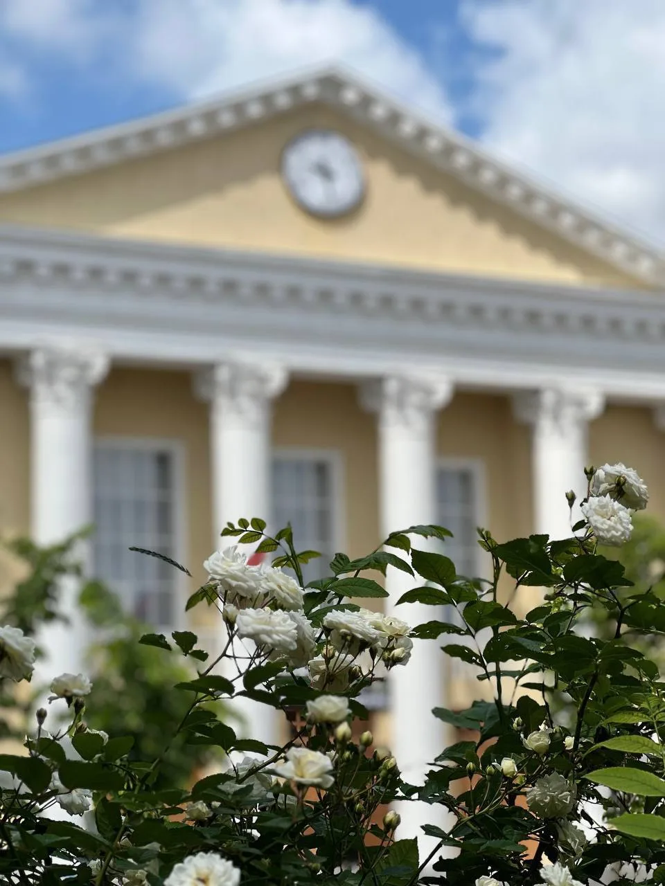 🌺1уйре дика хийла шун! Доброе утро, друзья!