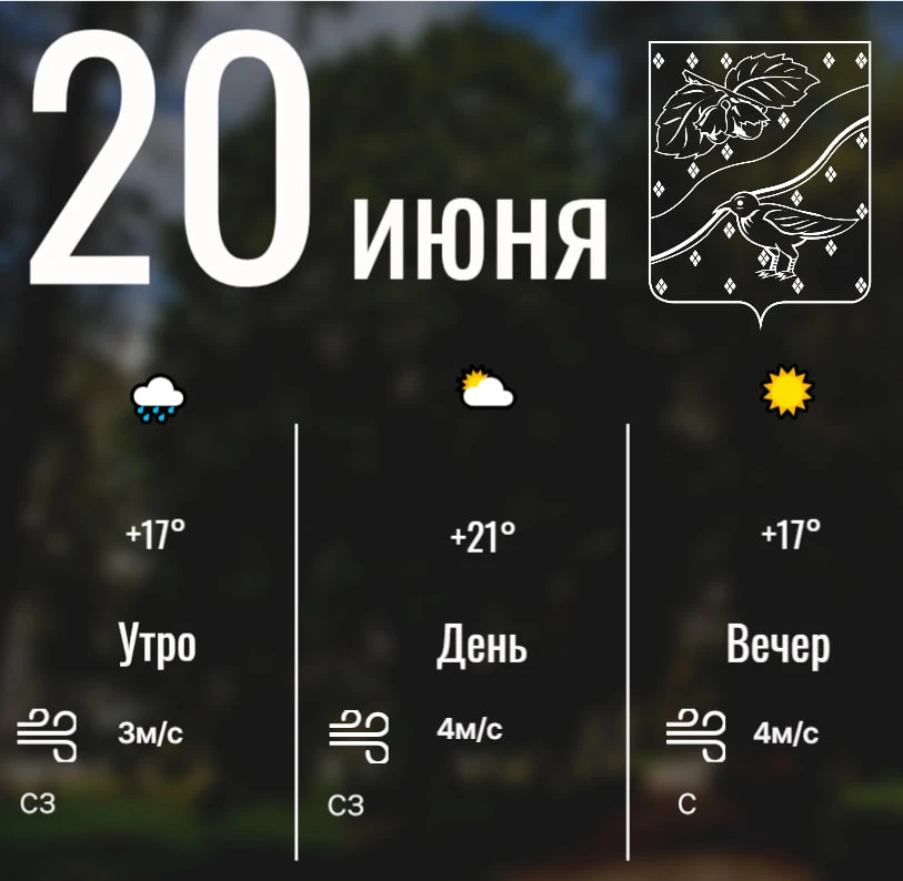 Доброе утро! ♥️