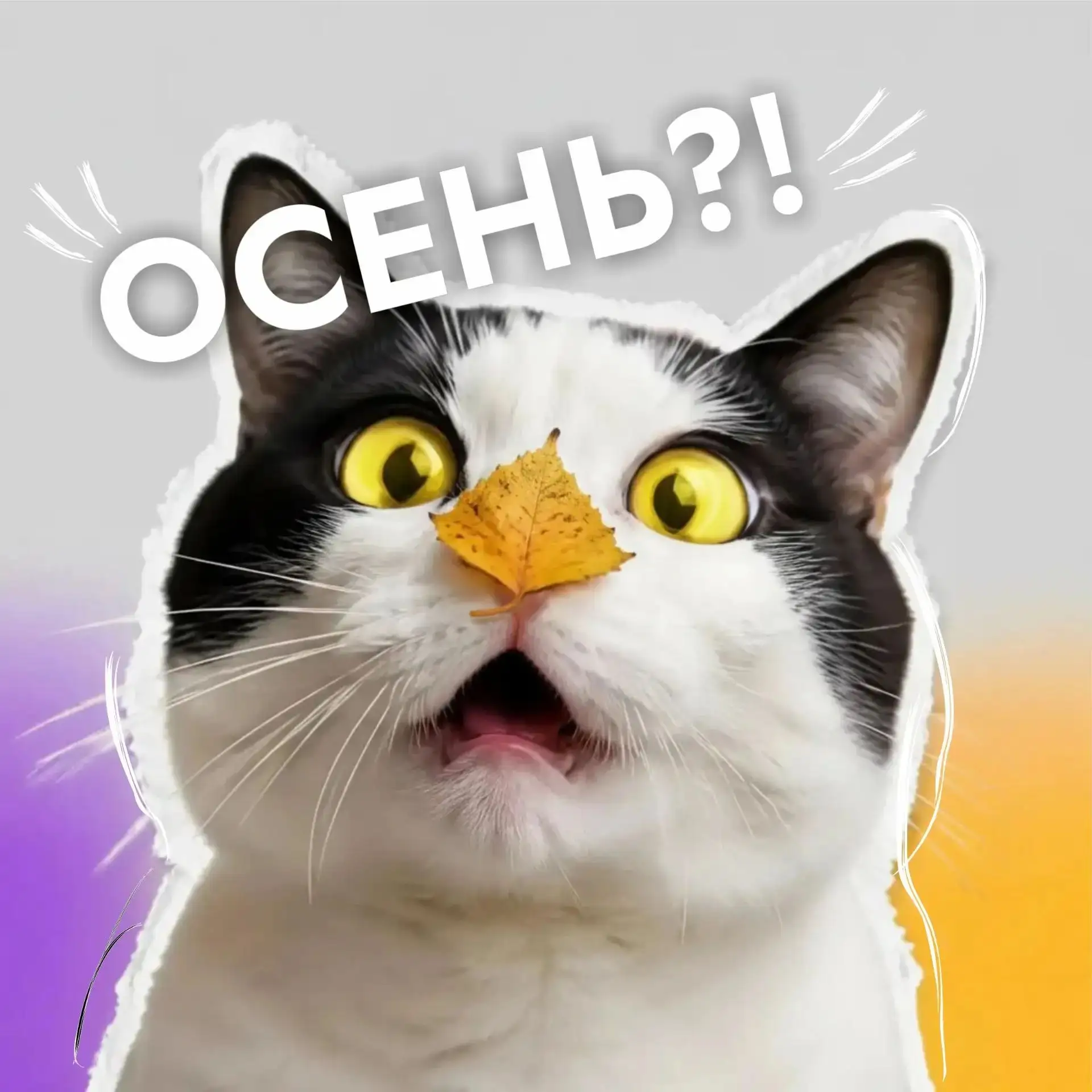 🍁 Осень?! Ну нет, давай ты ещё чуть-чуть подождёшь!