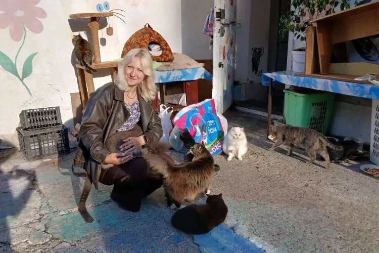 «Мур-мяу, мы помогаем!»: 😼😼😼