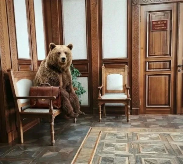 Глава Бурятии: «Не ходите в лес поодиночке… Берегите себя»