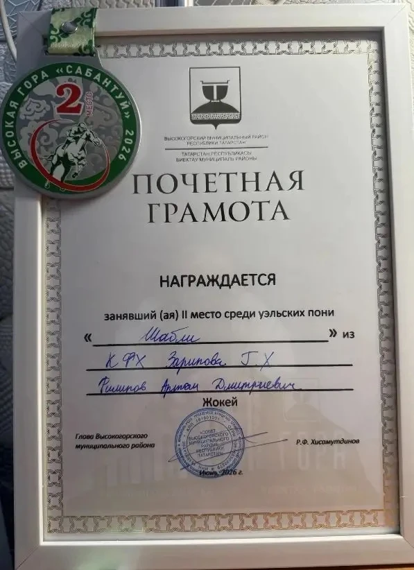 Гордость школы: наш ученик — призёр Сабантуя!