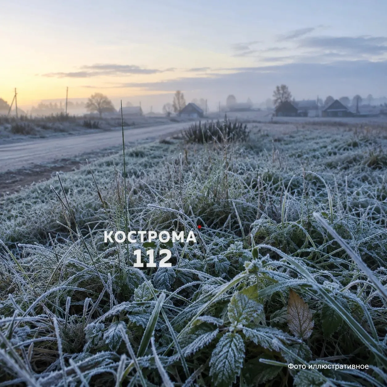 🥶 В Костромской области ожидаются заморозки.