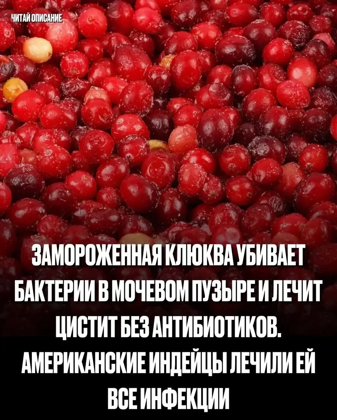 🍒 ЗАМОРОЖЕННАЯ КЛЮКВА — ВАШ АНТИБИОТИК!