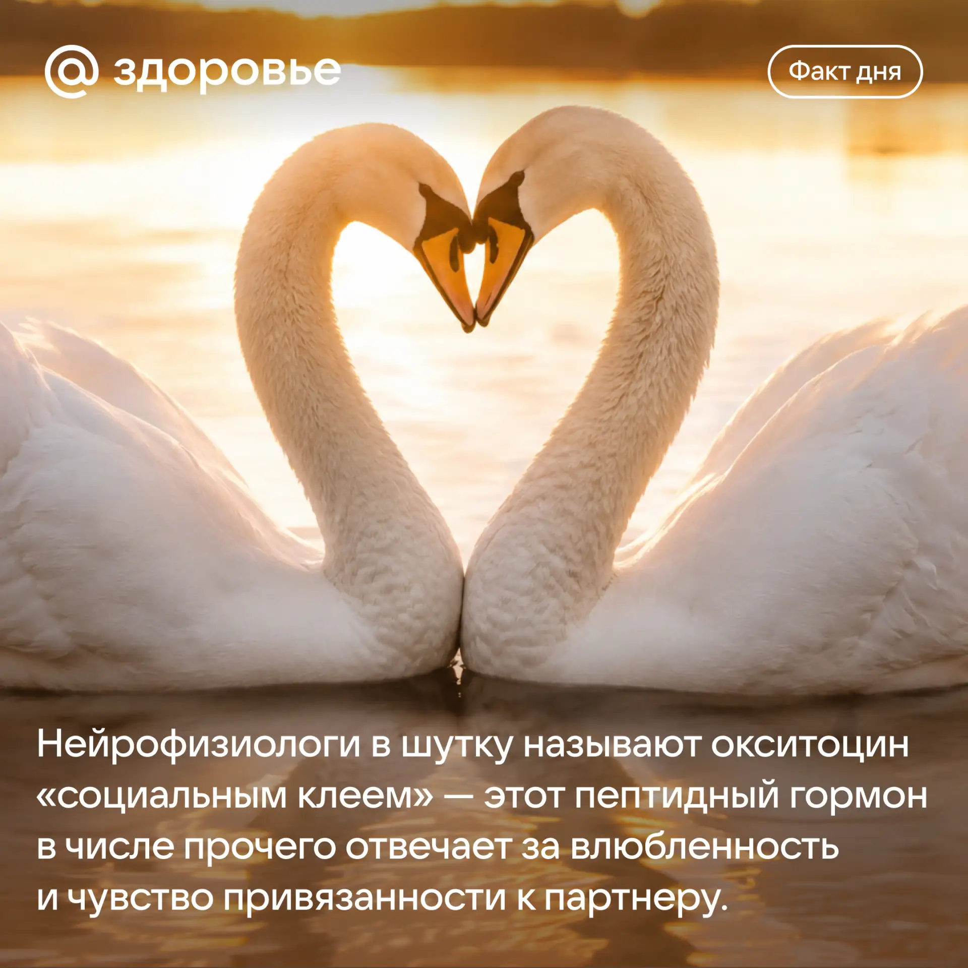 Хорошего дня! 🤍