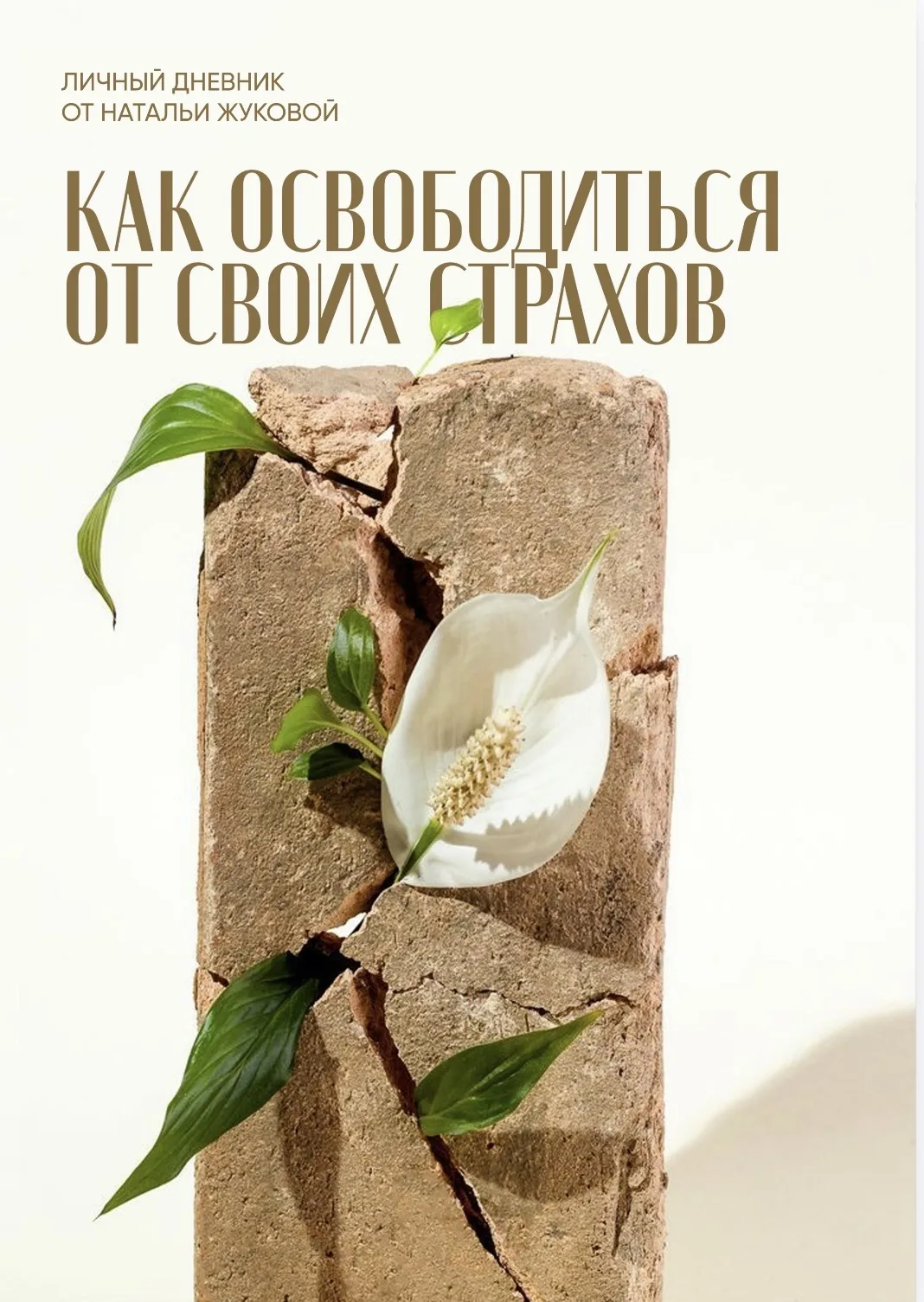 Мужчина, который будет вам подходить, должен быть идеальным. Но точно не живым.  Если вы оставляете 