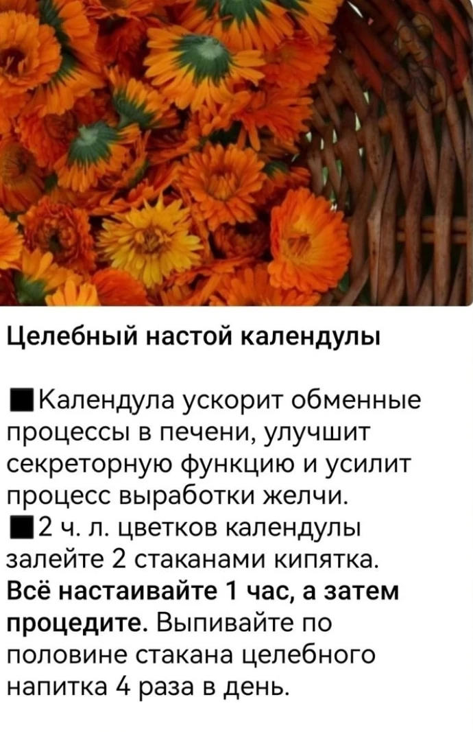 Целебный настой календулы