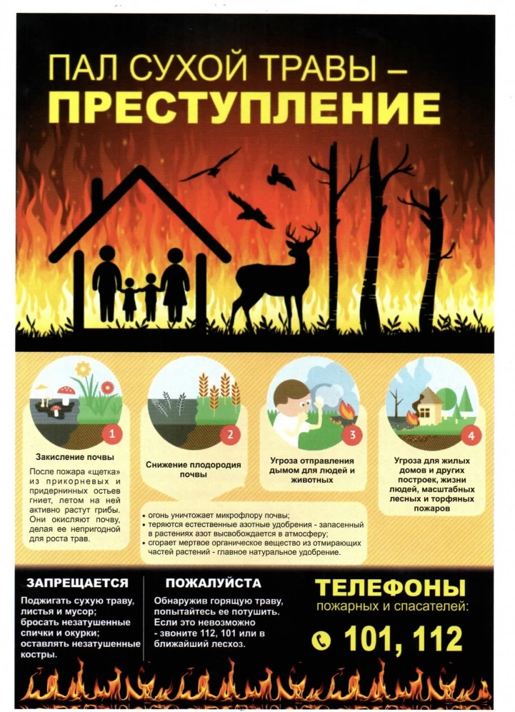 Сухая трава — опасный объект, который может стать причиной серьёзных пожаров. Особенно важно объясня