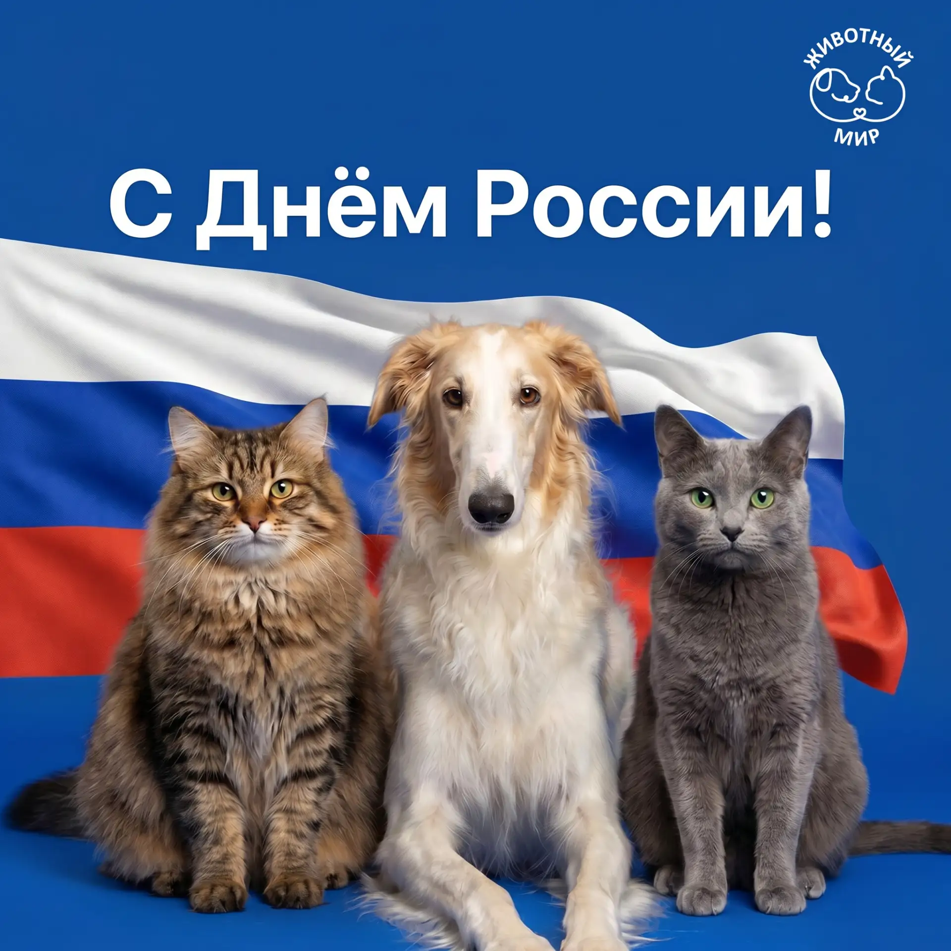 Уважаемые партнеры!
