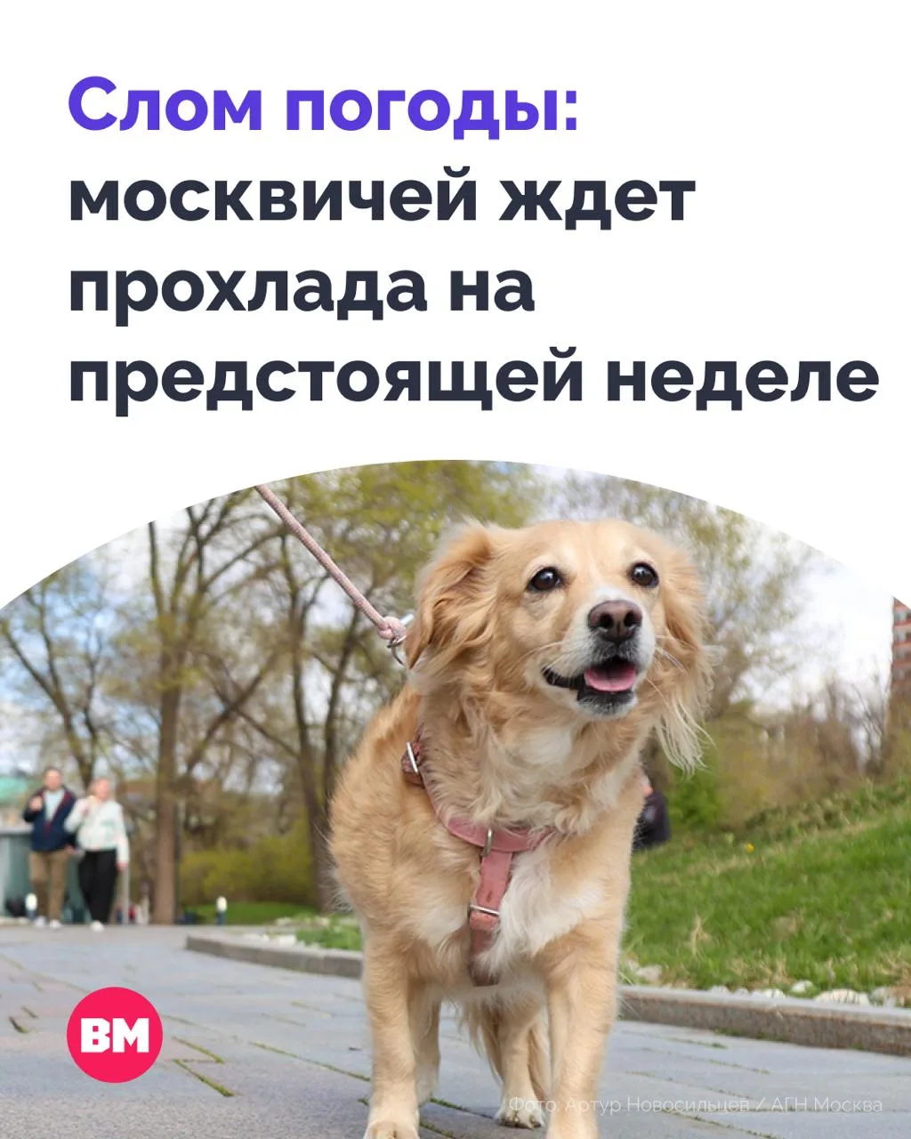 🥲 Москвичи, пора достать дождевики: на смену солнечным дням придут дожди и грозы

По словам руковод