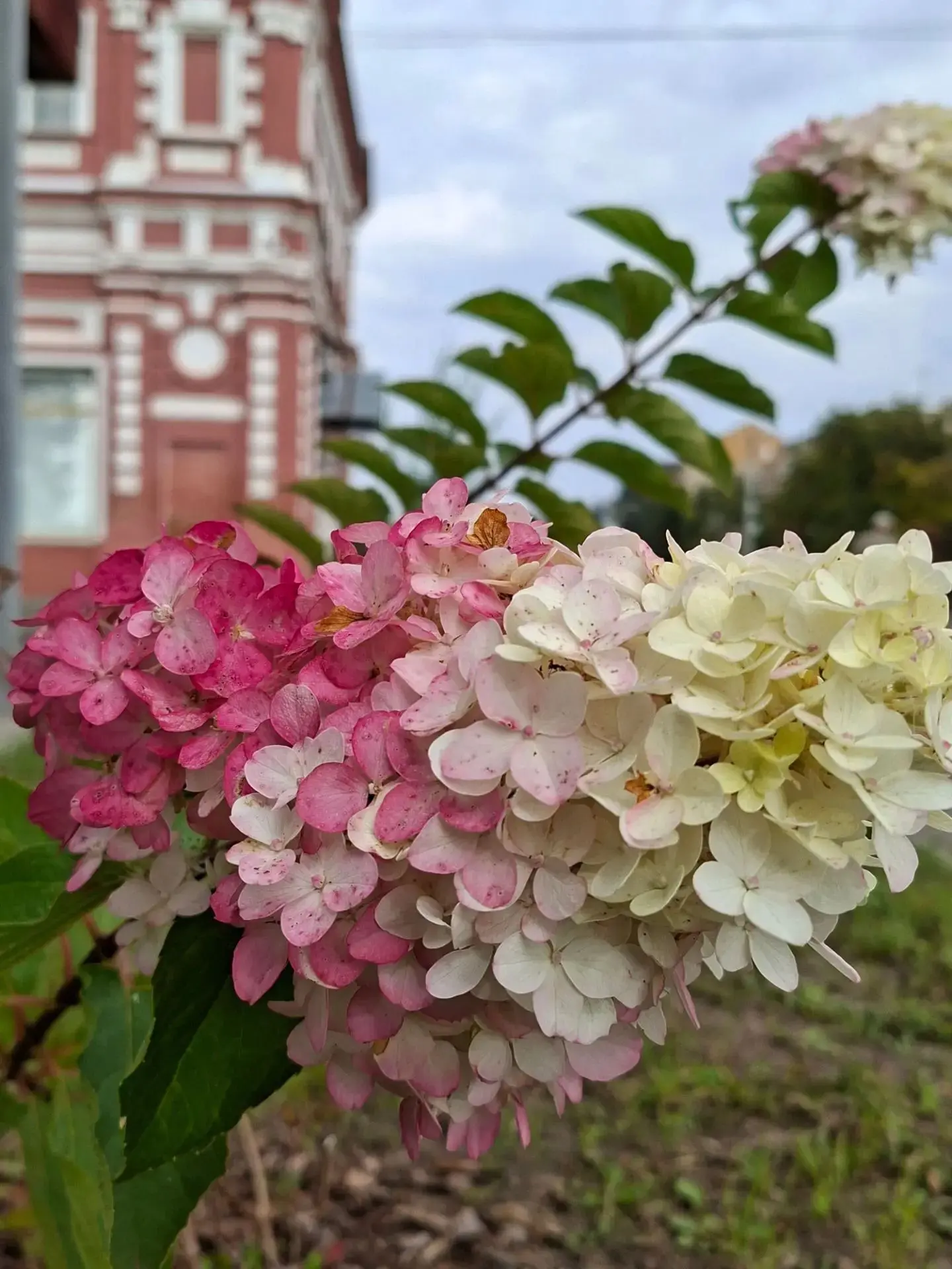 Доброе утро, музейные люди! 🌞