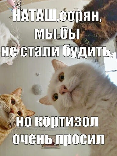 Как стресс сжимает наш мозг?

П: «Мне всего 30 с небольшим, а я уже рассыпаюсь! На работе жуткий зав
