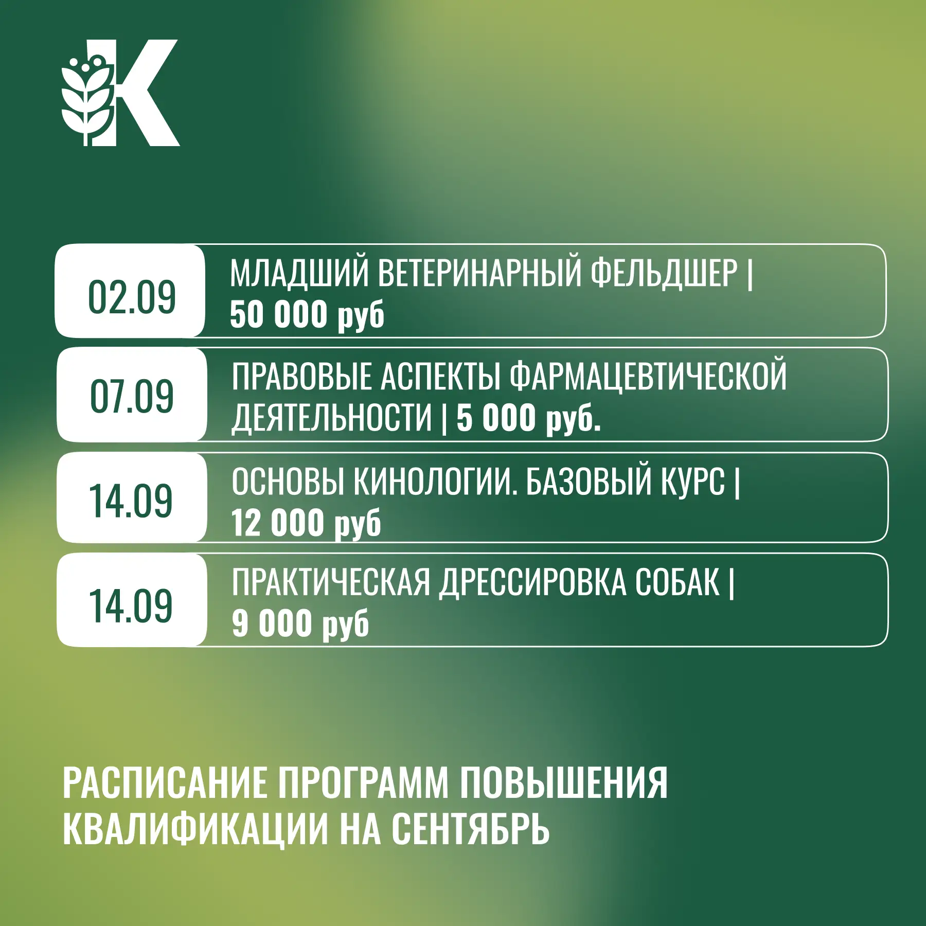 🔥 Хотите прокачать профессиональные навыки? Мы готовы прислать вам подборку программ п...