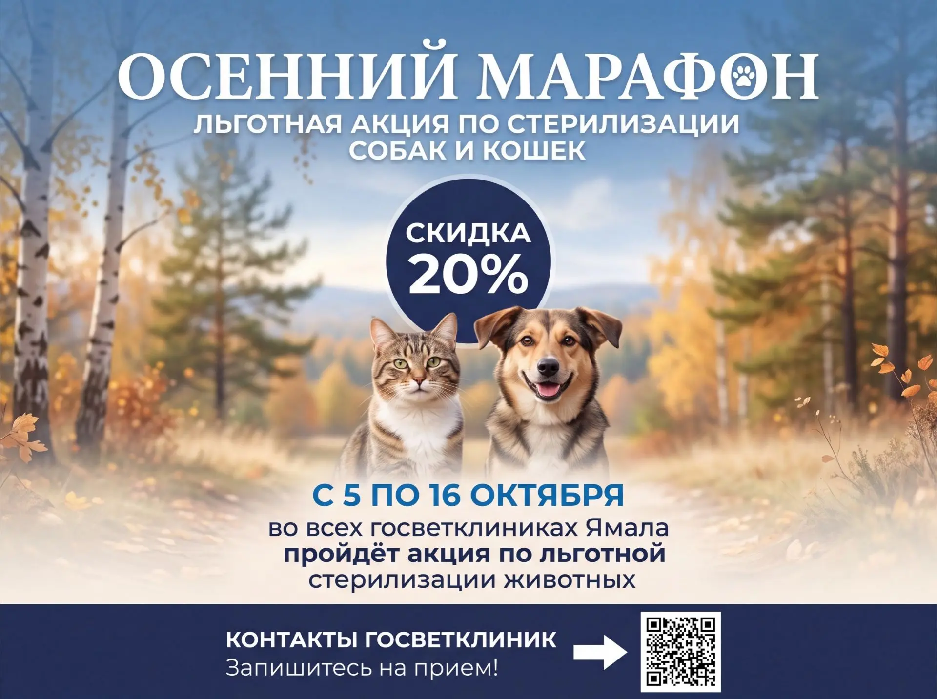 На Ямале стартует льготная стерилизация питомцев 🐾