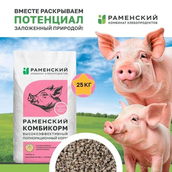 Путь к успеху в свиноводстве!