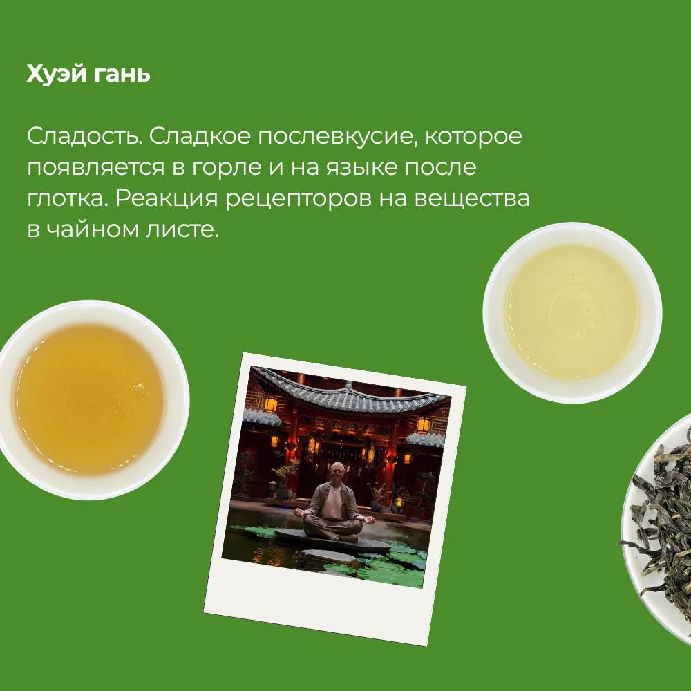 🍵 10 чайных терминов, которые должен знать каждый