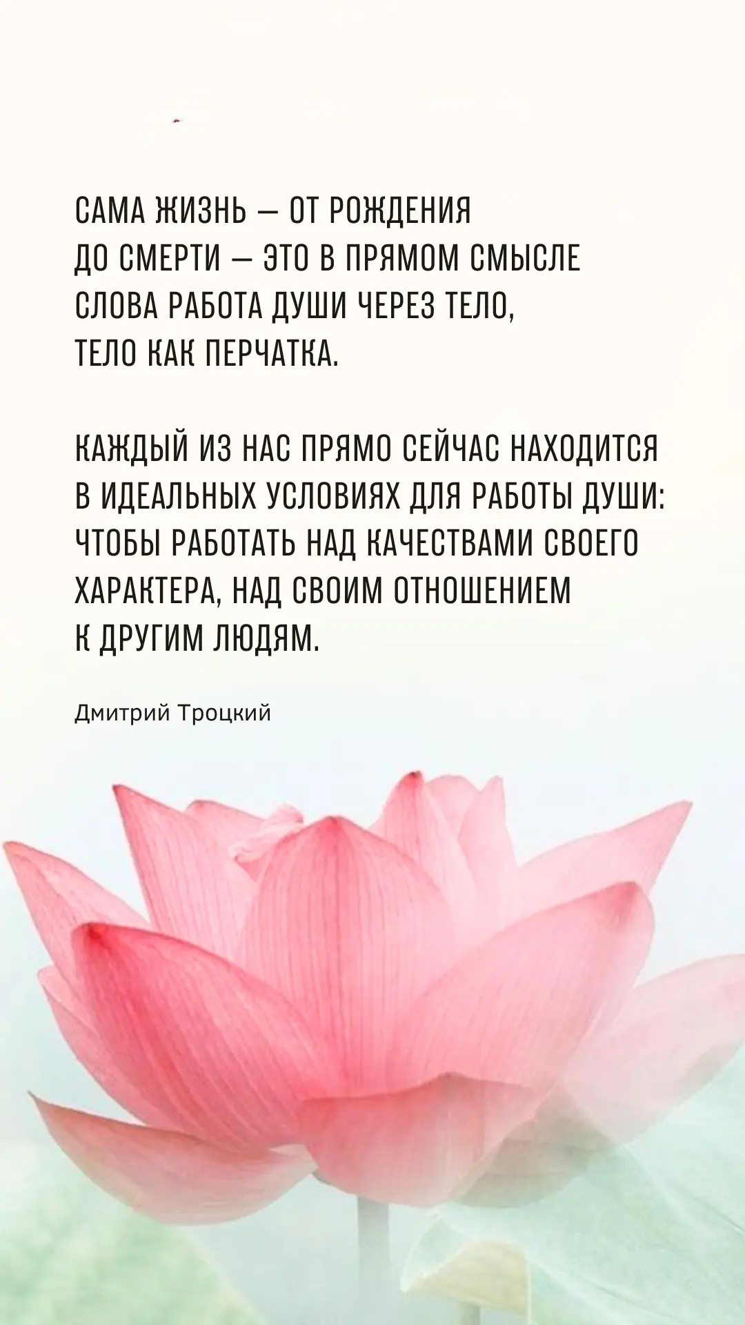 Сама жизнь — от рождения до смерти — это в прямом смысле слова работа души через тело, тело как перч
