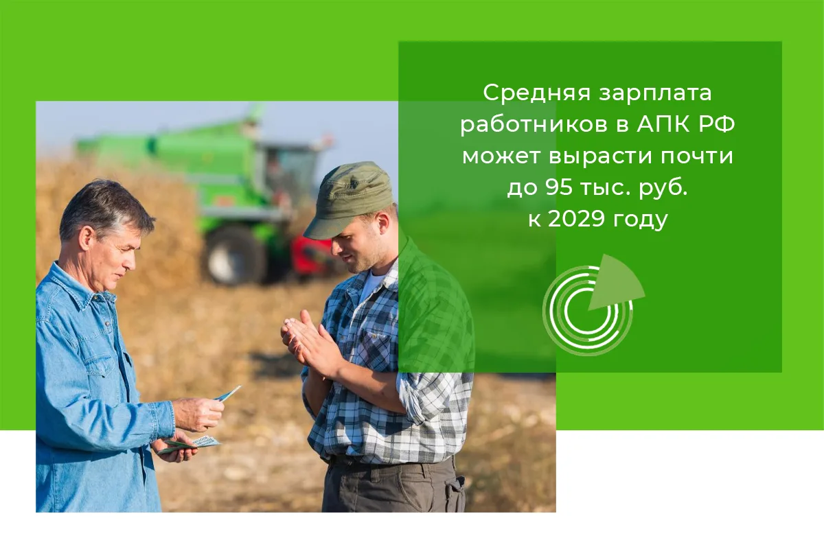 СРЕДНЯЯ ЗАРПЛАТА РАБОТНИКОВ В АПК РФ МОЖЕТ ВЫРАСТИ ПОЧТИ ДО 95 ТЫС. РУБ. К 2029 ГОДУ