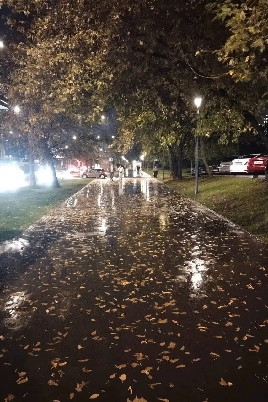 Погода отложила дождливые деньки и сменила курс - в ближайшее время будет сухо, но холо...