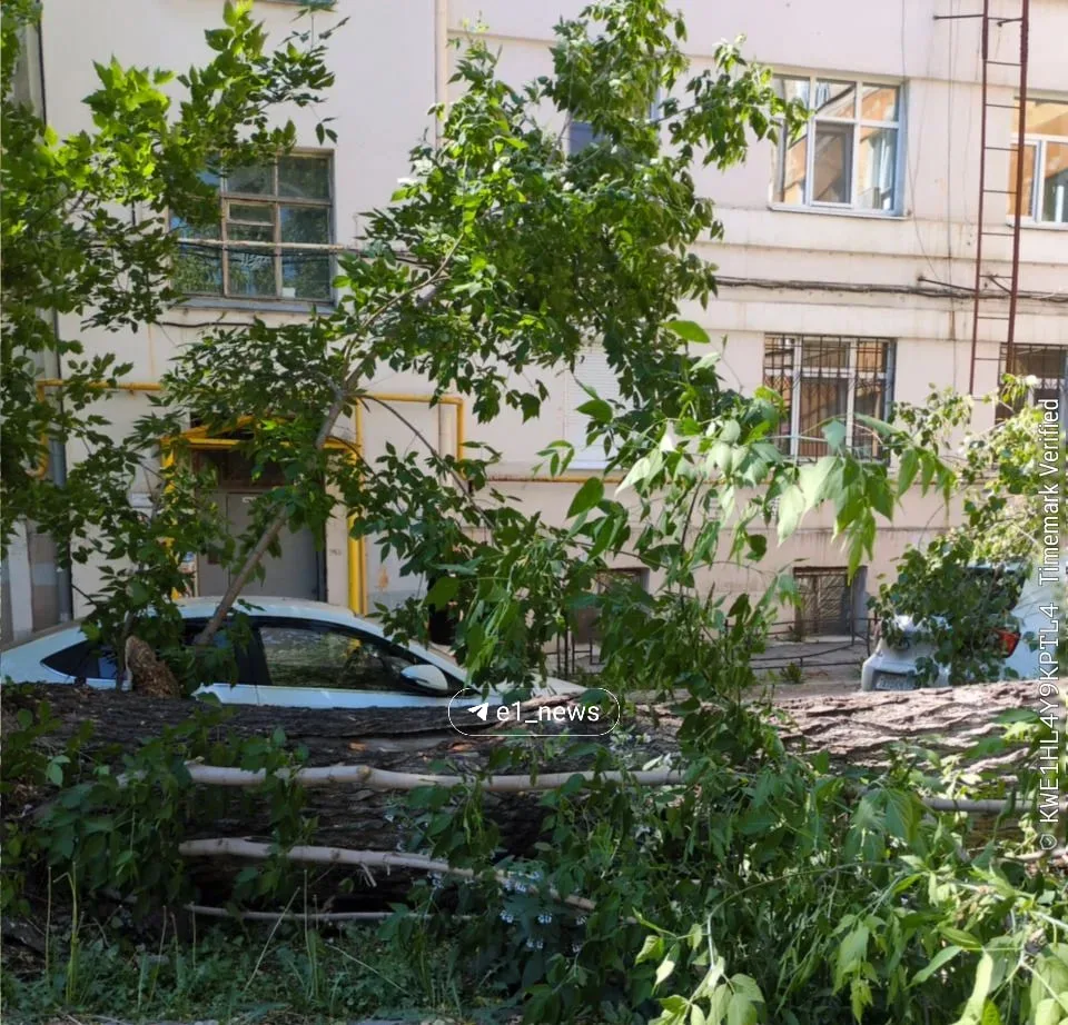 Деревья из-за ветра повалились на машины на улице Горького, 29.   Читатель поделился кадрами двора. 