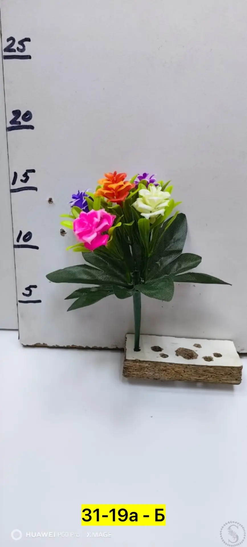https://vk.com/photo-184814919_493495354